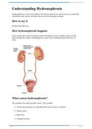 Thumbnail image for "Understanding Hydronephrosis"