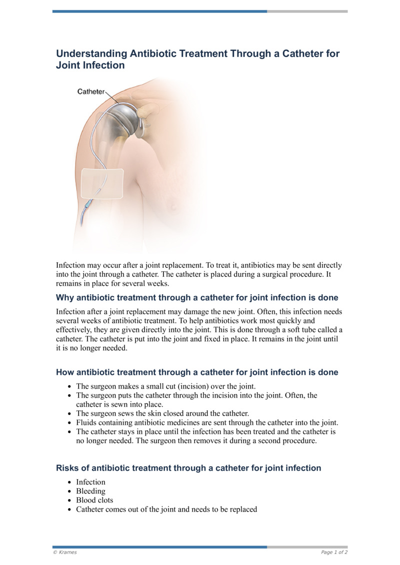 PDF Understanding Antibiotic Treatment Through a Catheter for Joint