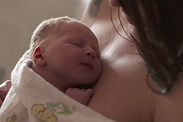 Thumbnail image for "Q&A: Why is kangaroo care so important?"