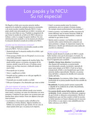 Thumbnail image for "Los papás y la NICU: Su rol especial"