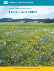 Thumbnail image for "Cancer Pain Control: Support for People With Cancer"