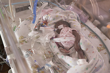 Thumbnail image for "Premature Newborn Care: Stress Cues"