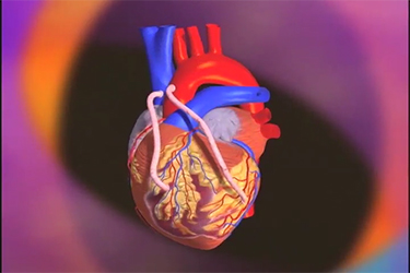 Thumbnail image for "Balloon Angioplasty and Coronary Artery Bypass Surgery"