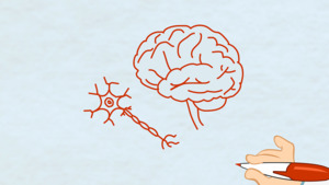Thumbnail image for "¿Qué es la Epilepsia?"