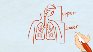 Thumbnail image for "What is Pneumonia?"