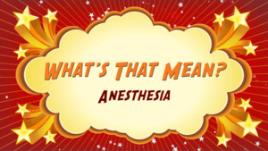 Thumbnail image for "Anesthesia: What's That Mean?"