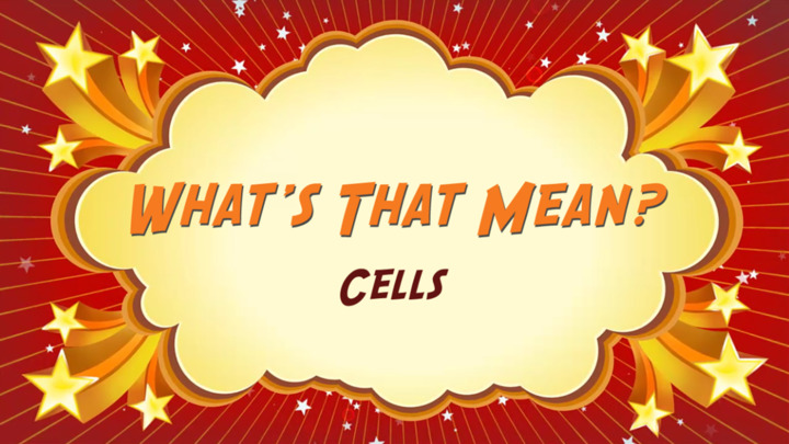 video-cells-what-s-that-mean-healthclips-online