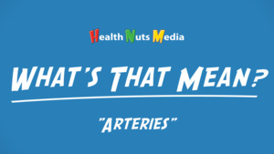 Thumbnail image for "Arteries: What's That Mean?"