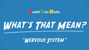 Thumbnail image for "Nervous System: What's That Mean?"