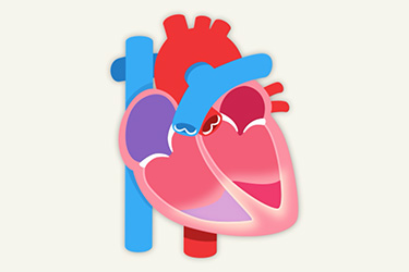 Thumbnail image for "Qué es la Fracción de Eyección"