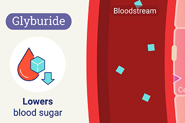 Thumbnail image for "Glyburide"