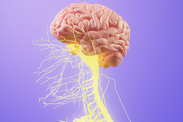 Thumbnail image for "Clonazepam"