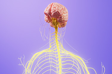 Thumbnail image for "Diazepam"