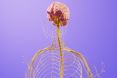 Thumbnail image for "Ativan"