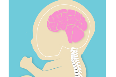 Thumbnail image for "Keeping Baby Safe: Preventing Head Injuries"