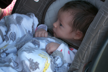 Thumbnail image for "Cuidado del Recién Nacido: Seguridad del Asiento para Automóvil"