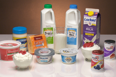 Thumbnail image for "MiPlato: Lácteos"