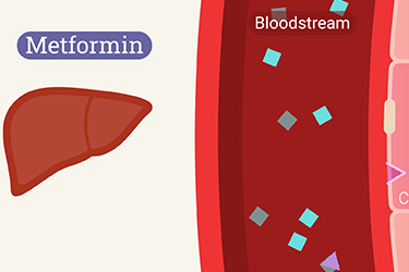 Thumbnail image for "Metformin"