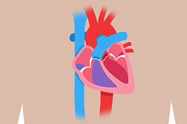 Thumbnail image for "Xarelto"