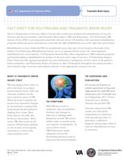 Thumbnail image for "TBI Fact Sheet"