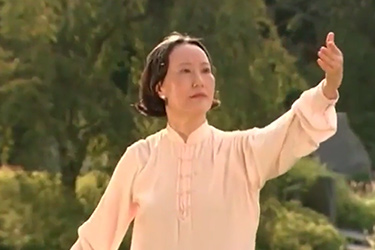 Thumbnail image for "Tai Chi and Qi Gong [All 5 Chapters]"
