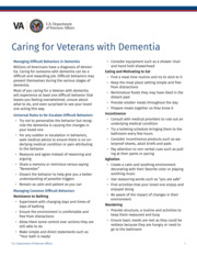 Thumbnail image for "Caring for Veterans with Dementia"