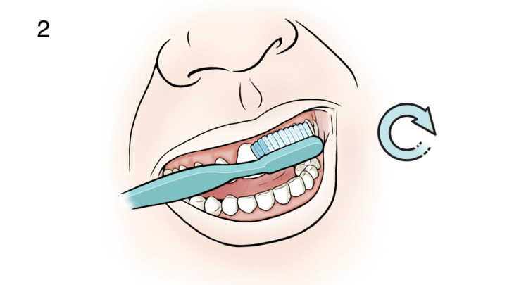 Video - Step-by-Step: Brushing Your Teeth - HealthClips Online