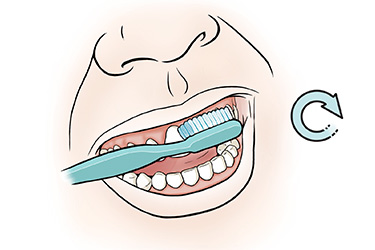 Thumbnail image for "Step-by-Step: Brushing Your Teeth"