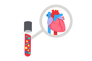 Thumbnail image for "Cholesterol: Understanding the Lipid Panel"