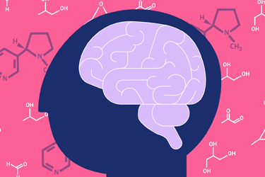 Thumbnail image for "Nicotine and the Brain"