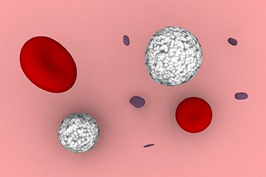 Thumbnail image for "Complete Blood Count (CBC) Test: Understanding the Test"