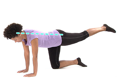 Thumbnail image for "How to Do the Bird Dog Exercise"