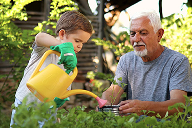 Thumbnail image for "Carotid Endarterectomy: Returning Home"