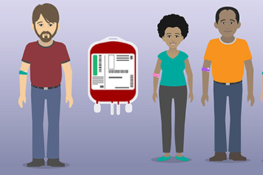 Thumbnail image for "Blood Transfusion"
