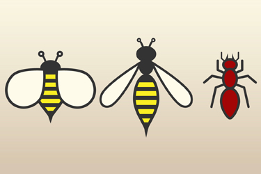 Thumbnail image for "Insect Bites and Stings: Here's Help"