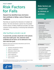 Thumbnail image for "Risk Factors for Falls"