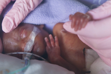 Thumbnail image for "Thermoregulation in newborns"