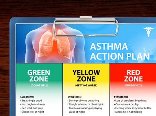 Video Asthma Action Plan Healthclips Online