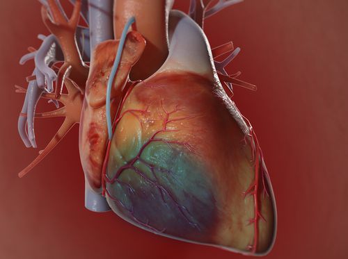 Thumbnail image for "Coronary Artery Bypass Graft Surgery (CABG)"