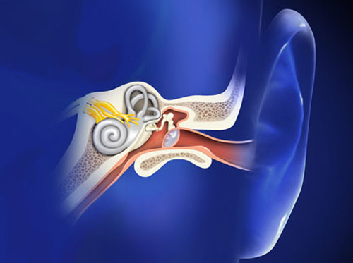 Thumbnail image for "Ear Tube Surgery (Myringotomy)"