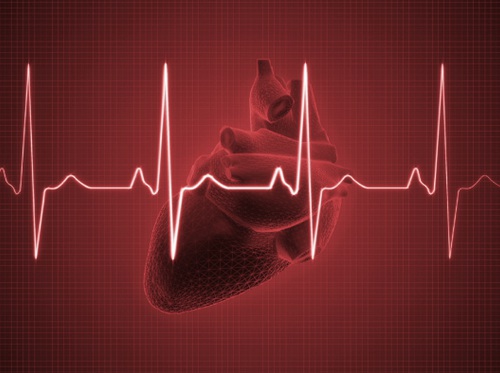 Thumbnail image for "Heart Attack Warning Signs"