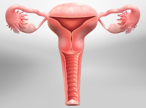 Thumbnail image for "Hysterectomy (Overview)"