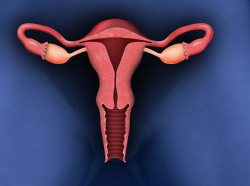Thumbnail image for "Laparo-Endoscopic Single Site (LESS) Hysterectomy"