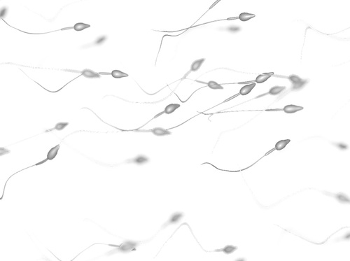 Thumbnail image for "Male Infertility"