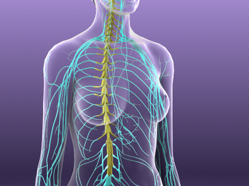 Thumbnail image for "Peripheral Neuropathy"