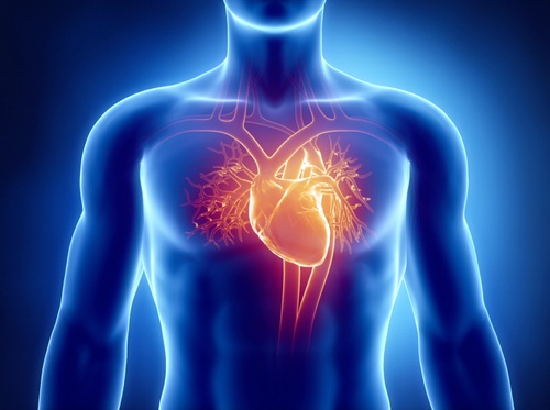 Thumbnail image for "Hipertensión pulmonar (HP)"