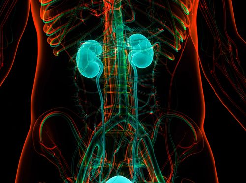 Thumbnail image for "Enfermedad renal crónica (ERC)"