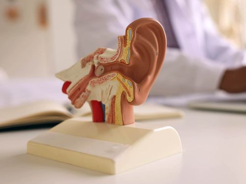 Thumbnail image for "What Does an Otolaryngologist Do?"