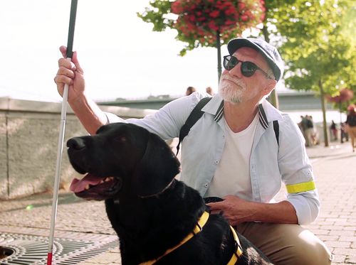 Thumbnail image for "How to Act Around a Service Dog"