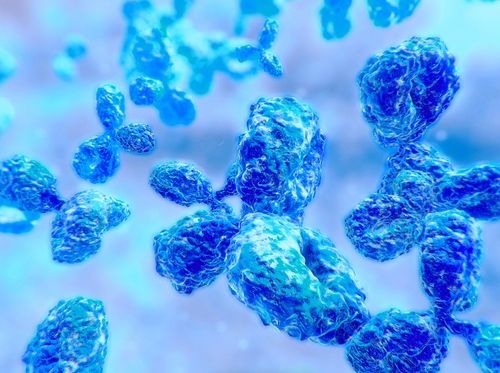 Thumbnail image for "Antibodies"
